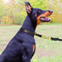 Load image into Gallery viewer, Leather Control Collar