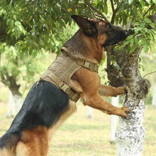 Load image into Gallery viewer, Tactical Dog Harness Military Training Padded Quick Release Vest Pet Training Dog Harness For Set Small Medium Large Dogs