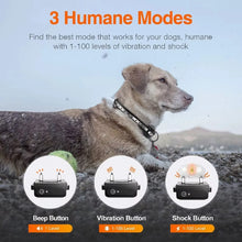 Load image into Gallery viewer, Rottie 1000m Remote Training Collar