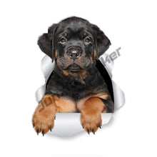 Load image into Gallery viewer, Cartoon Dabbing Rottweiler Funny Vinyl Waterproof Sticker Decal Car Laptop Window Bumper 3D Torn Metal Decal Reflective Sticker