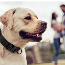 Load image into Gallery viewer, Rottie Control Handle Tactical Collar