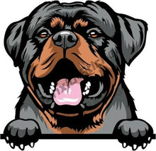 Load image into Gallery viewer, Cartoon Dabbing Rottweiler Funny Vinyl Waterproof Sticker Decal Car Laptop Window Bumper 3D Torn Metal Decal Reflective Sticker