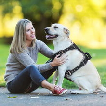 Load image into Gallery viewer, Big Dogs Harness Jacket Collar for Large Dog Leads Adjustable Pet Vest Walking Lead Leash Harnesses for Dog Supplies