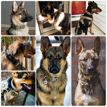 Load image into Gallery viewer, Dog Collar Adjustable Military Tactical Pets Dog Collars Leash Control Handle Training Pet Cat Dog Collar For Small Large Dogs
