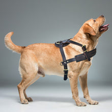 Load image into Gallery viewer, Soft Leather Big Dog Harness For Medium Large Dogs K9 Pitbull Adjustable Pet Harness Vest Bulldog Husky Rottweiler Harnesses