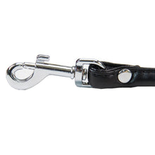 Load image into Gallery viewer, 1 PC Pet Product Soft PU Leather Smll Dog Leashes 120cm Dog Lead Pet Training Walking Puppy Leash Material Smooth Easy to Clean