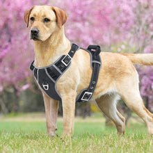 Load image into Gallery viewer, Big Dogs Harness Jacket Collar for Large Dog Leads Adjustable Pet Vest Walking Lead Leash Harnesses for Dog Supplies