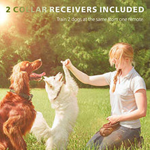 Load image into Gallery viewer, 800m Electric Dog Training Collar with LCD Display Pet Remote Control Waterproof Rechargeable Collars for Shock Vibration Sound