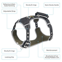 Load image into Gallery viewer, Big Dogs Harness Jacket Collar for Large Dog Leads Adjustable Pet Vest Walking Lead Leash Harnesses for Dog Supplies