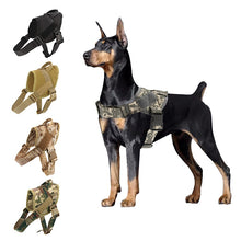 Load image into Gallery viewer, Dog Harness K9 Walking Adjustable Nylon Pet Dog Collar Vest Bungee Dog Leash Harness For Small Larges Dogs German Shepherd