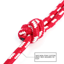 Load image into Gallery viewer, Indestructible Solid Rubber Ball Pet Dog Toy Training Chew Play Fetch Bite Toys dog toys dog supplies puppy игрушки для собак