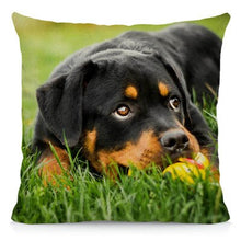 Load image into Gallery viewer, XUNYU Cute Rottweiler Dog Cushion Cover Animal Pillow Case Home Decoration Sofa Decor 45x45cm DWG031
