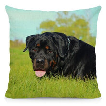 Load image into Gallery viewer, XUNYU Cute Rottweiler Dog Cushion Cover Animal Pillow Case Home Decoration Sofa Decor 45x45cm DWG031
