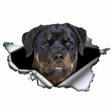 Load image into Gallery viewer, Cartoon Dabbing Rottweiler Funny Vinyl Waterproof Sticker Decal Car Laptop Window Bumper 3D Torn Metal Decal Reflective Sticker
