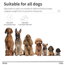 Load image into Gallery viewer, Rottie Anti-Bark E-Collar
