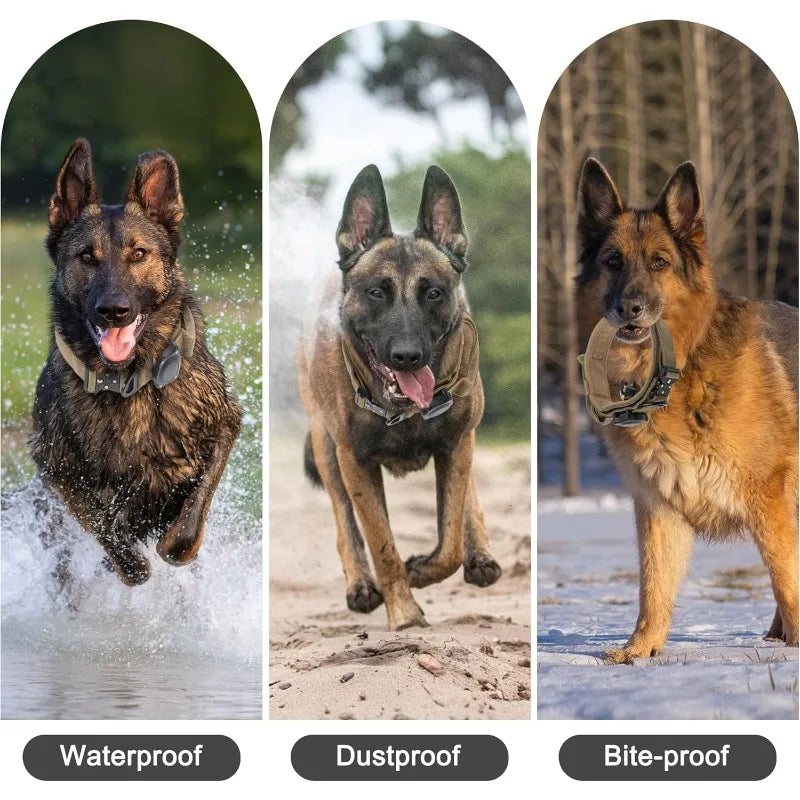 Dog Collar Waterproof Tactical Dog Collar with Control Handle Zinc Alloy Buckle Pte Collar for AirTag Medium Large Dogs Necklace