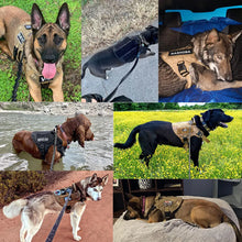 Load image into Gallery viewer, The Rottie Tactical Set™
