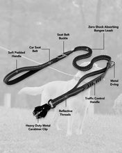 Load image into Gallery viewer, Rottie Reflective Heavy Duty Collar
