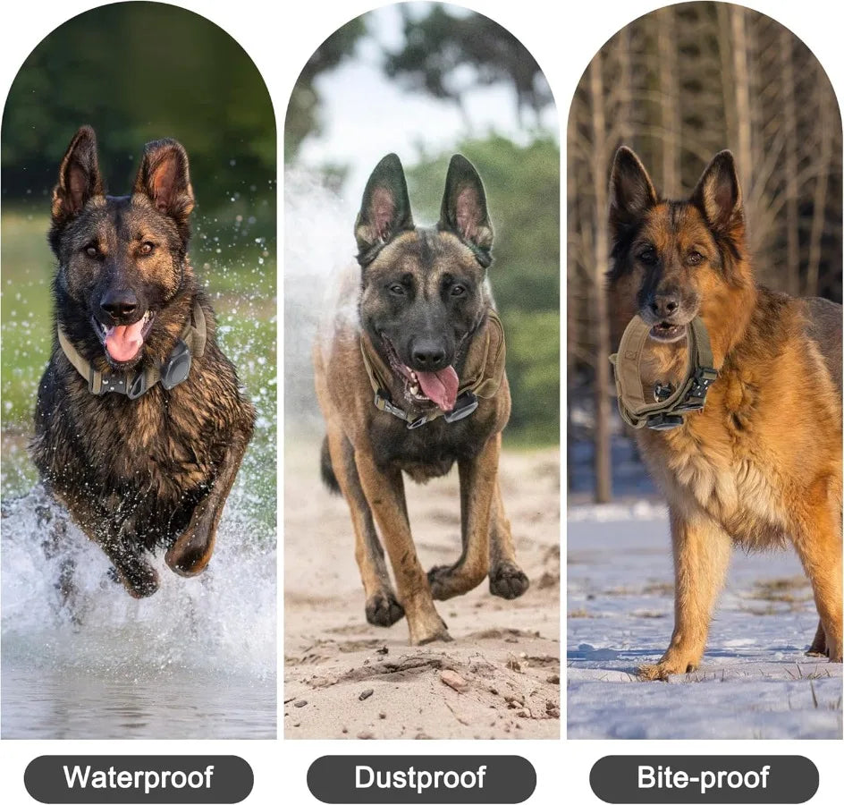 Dog Collar Waterproof Tactical Dog Collar with Control Handle Zinc Alloy Buckle Pte Collar for AirTag Medium Large Dogs Necklace