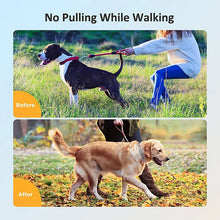Load image into Gallery viewer, Rottie Stainless Steel Prong Collar
