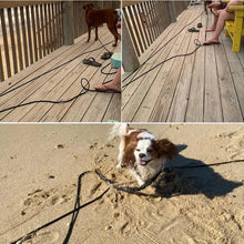 Load image into Gallery viewer, Recall Training Lead

