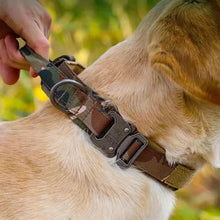Load image into Gallery viewer, Rottie Tactical Nylon Collar
