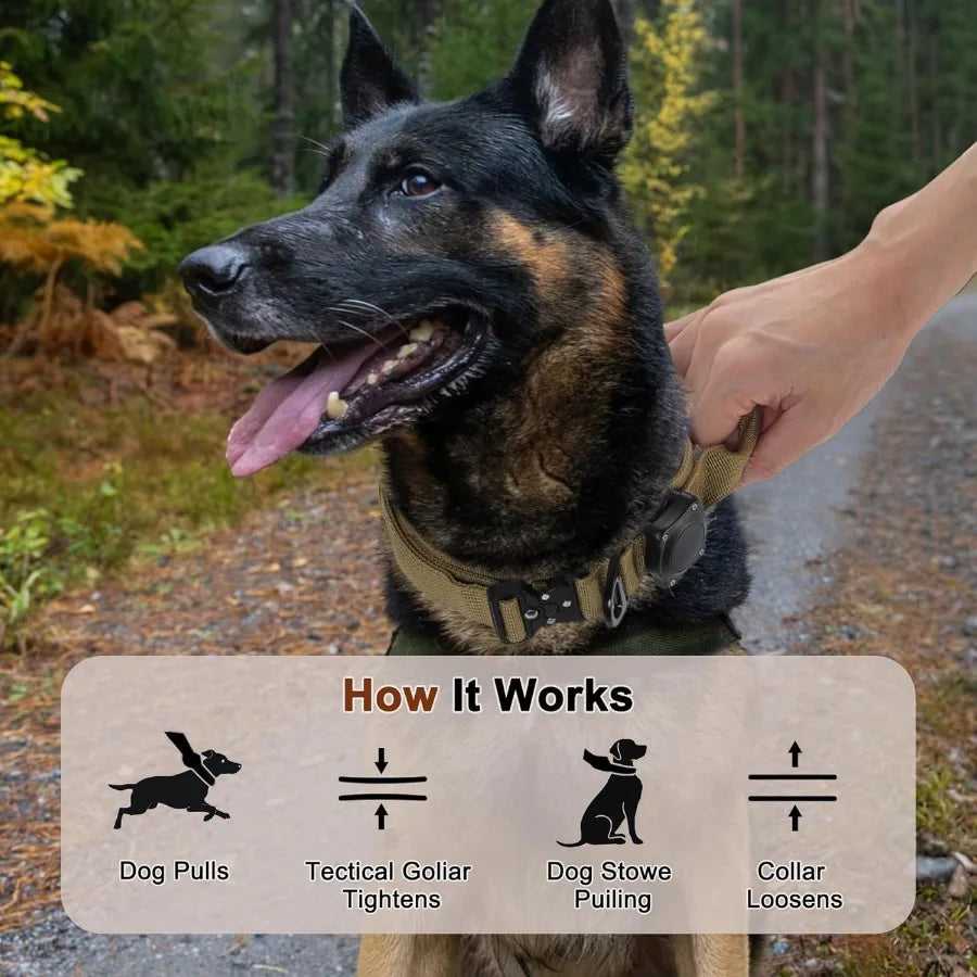 Dog Collar Waterproof Tactical Dog Collar with Control Handle Zinc Alloy Buckle Pte Collar for AirTag Medium Large Dogs Necklace
