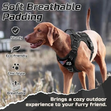 Load image into Gallery viewer, Tactical Dog Harness for Dogs, No Pull Military Service Vest with Handle and Molle, Easy Control for Training Walking, Adjustab
