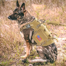 Load image into Gallery viewer, Tactical Military Dog Harness Collar Leash Set Durable Big Dog Training Harness Vest MOLLE For Large Dogs With Pouches Flag
