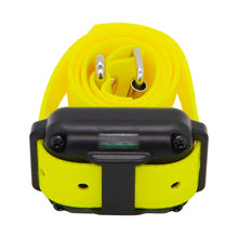 Load image into Gallery viewer, Rottie E-Collar Training System
