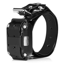 Load image into Gallery viewer, Rottie E-Collar Training System
