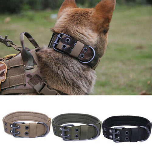 1PC Military Tactical Adjustable Dog Training Collar Nylon Leash Metal Buckle M-XL