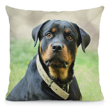 Load image into Gallery viewer, XUNYU Cute Rottweiler Dog Cushion Cover Animal Pillow Case Home Decoration Sofa Decor 45x45cm DWG031
