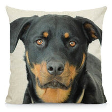 Load image into Gallery viewer, XUNYU Cute Rottweiler Dog Cushion Cover Animal Pillow Case Home Decoration Sofa Decor 45x45cm DWG031
