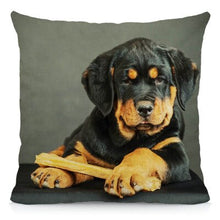 Load image into Gallery viewer, XUNYU Cute Rottweiler Dog Cushion Cover Animal Pillow Case Home Decoration Sofa Decor 45x45cm DWG031
