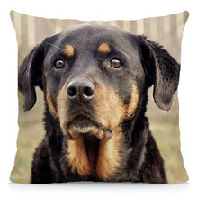 Load image into Gallery viewer, XUNYU Cute Rottweiler Dog Cushion Cover Animal Pillow Case Home Decoration Sofa Decor 45x45cm DWG031
