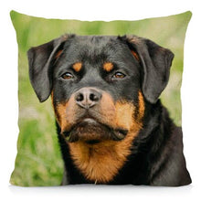 Load image into Gallery viewer, XUNYU Cute Rottweiler Dog Cushion Cover Animal Pillow Case Home Decoration Sofa Decor 45x45cm DWG031
