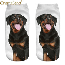 Load image into Gallery viewer, Chamsgend Newly Design Women Girls Rottweiler Dog 3D Print Female Socks Drop Shipping 80228
