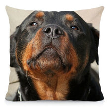 Load image into Gallery viewer, XUNYU Cute Rottweiler Dog Cushion Cover Animal Pillow Case Home Decoration Sofa Decor 45x45cm DWG031
