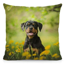 Load image into Gallery viewer, XUNYU Cute Rottweiler Dog Cushion Cover Animal Pillow Case Home Decoration Sofa Decor 45x45cm DWG031
