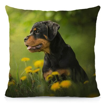 XUNYU Cute Rottweiler Dog Cushion Cover Animal Pillow Case Home Decoration Sofa Decor 45x45cm DWG031