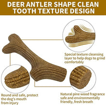 Load image into Gallery viewer, Deer Antlers Chew for Dogs Pet Chew Toys for Aggressive Chewers Large Breed Chew Stick Indestructible Tough Durable Dog Toys Dog
